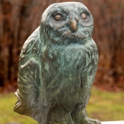 Bronze-Owl-2019_dsc2607