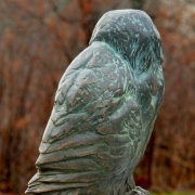 Bronze-Owl-2019_dsc2609-1