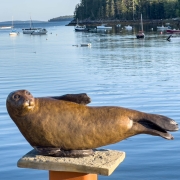 Large-Bronze-seal-2024-Saltyimg_3709-scaled