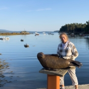 Large-Bronze-seal-2024-Saltyimg_3716-scaled