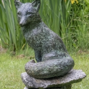 Raye-Bronze-Fox_dsc2759