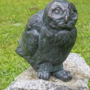 Raye-Bronze-Owl_dsc2772