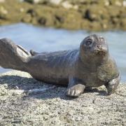 Raye-Owl-Seal-Rabbit-3-21_dsc3266