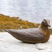 Seagull-at-Wharf-5-20_sny4237