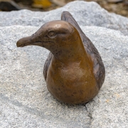 Seagull-at-Wharf-5-20_sny4238