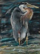 blue_heron-nggid019-ngg0dyn-200x200x90-00f0w010c010r110f110r010t03jpg