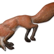 jumping_fox