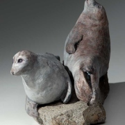 seals_KW07799