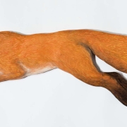 Fox-7-15_kw04539