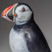 Puffin-Seals-17_kw04924