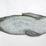 Rebekah-Raye-Harbor-Seal-Swimming-maple-1X4