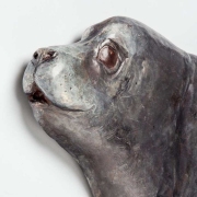 Seal-9-15_kw05397