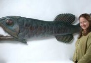 deep_sea_fish-nggid0211-ngg0dyn-220x220x80-00f0w010c010r110f110r010t010