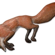 jumping_fox